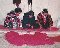 �M���b�x�O�~��D�鏗���B
