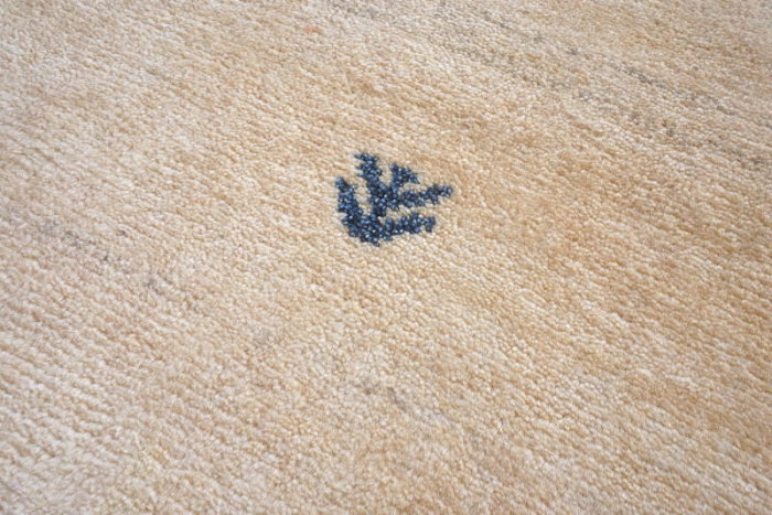 VvȔ̃Mbx5