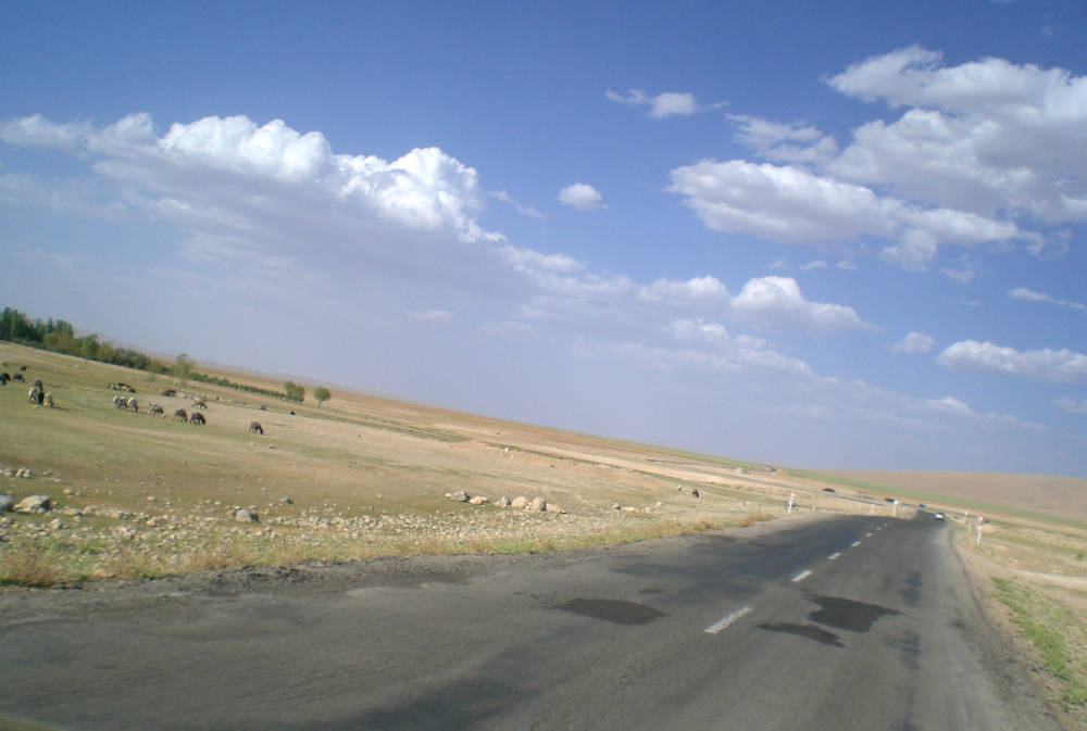 砂漠の中を走る道