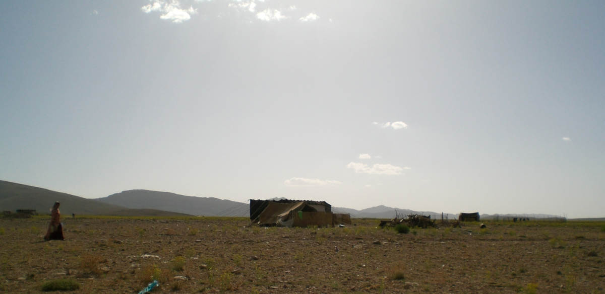 ペルシャ絨毯の歴史。