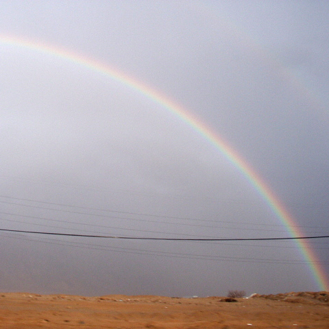 シルクロードをはるばる渡り、日本にもやってきた更紗の話