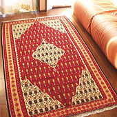 �y���V���L�����@k0230