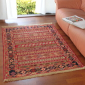 �X�}�b�N�L�����@�_�V���e���K���Y�@��11873