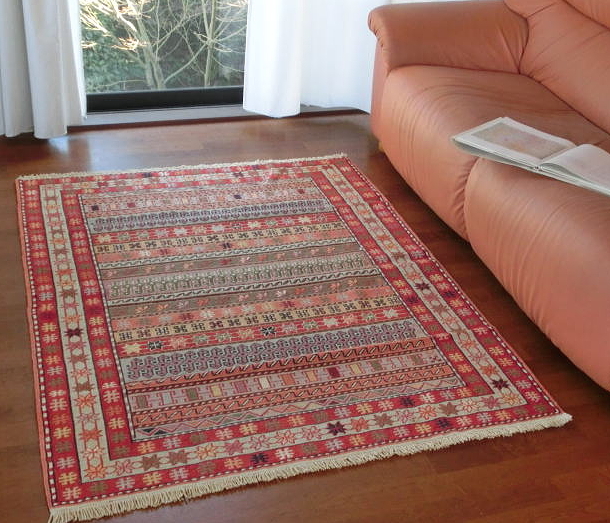 �X�}�b�N�L�����@�_�V���e���K���Y�@k16173